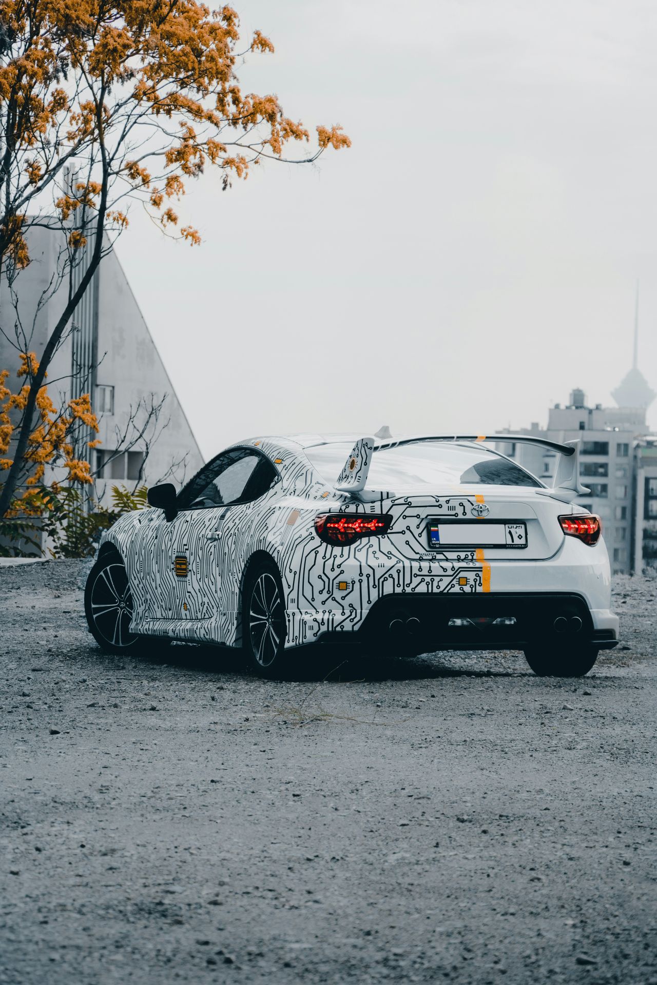 Autode kilereklaam. Eesti ja Läti. CARWRAP.ee